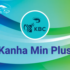Kanha Min - Plus