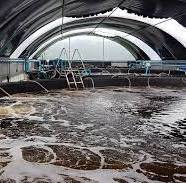 Hatcheries