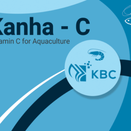 Kanha C-Max