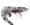 prawn-single-removebg-preview
